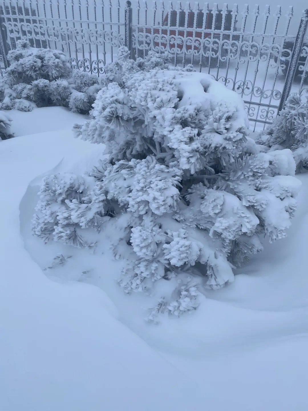零下7℃<strong></p>
<p>原油价格行情</strong>！大到暴雪！刚刚确认：杭州又来一波猛的！周末出门千万注意.....