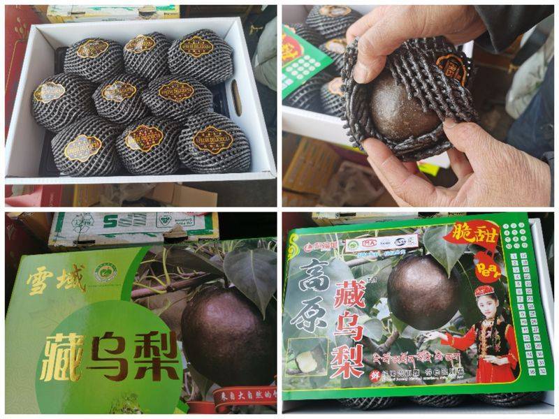 起底“藏乌梨”骗局：虚构的高原特产<strong></p>
<p>一桶原油多少升</strong>，普通梨高温加工而成
