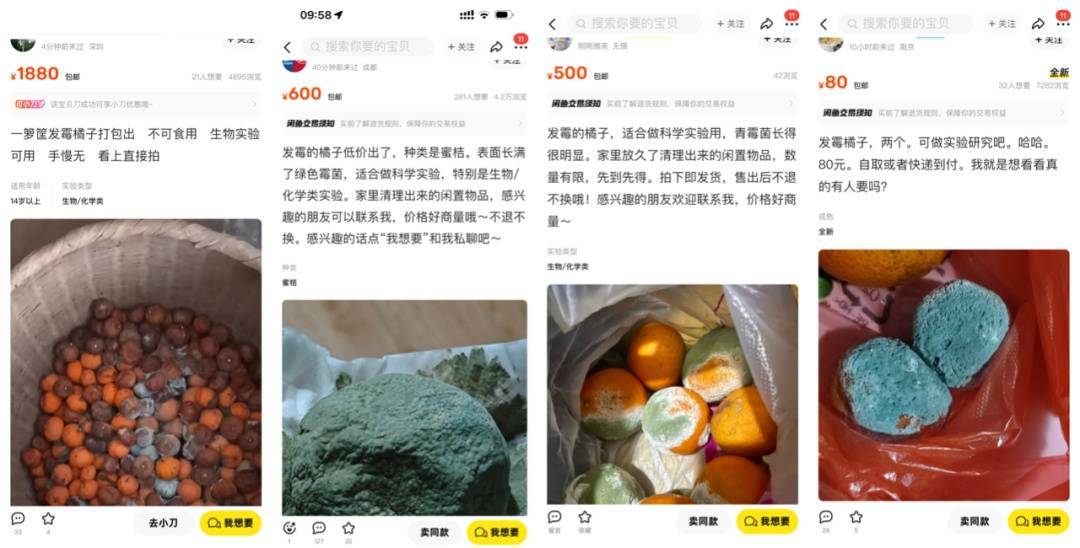 突然火了<strong></p>
<p>原油开采成本</strong>！有人卖500元一个！网友：后悔扔了……