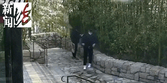 太猖狂！事发上海迪士尼<strong></p>
<p>中原油田待遇</strong>，7人被刑拘