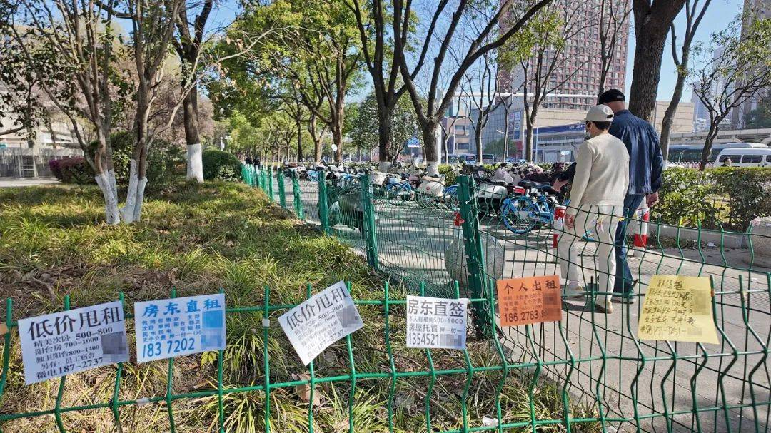 一二线城市房租普降<strong></p>
<p>中原油田待遇</strong>，房东主动降200留我