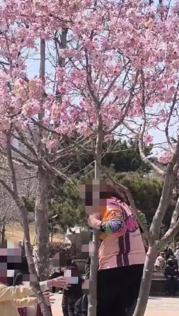 事发劳动公园！这4名女子<strong></p>
<p>中原油田待遇</strong>，你们这么做不脸红吗？