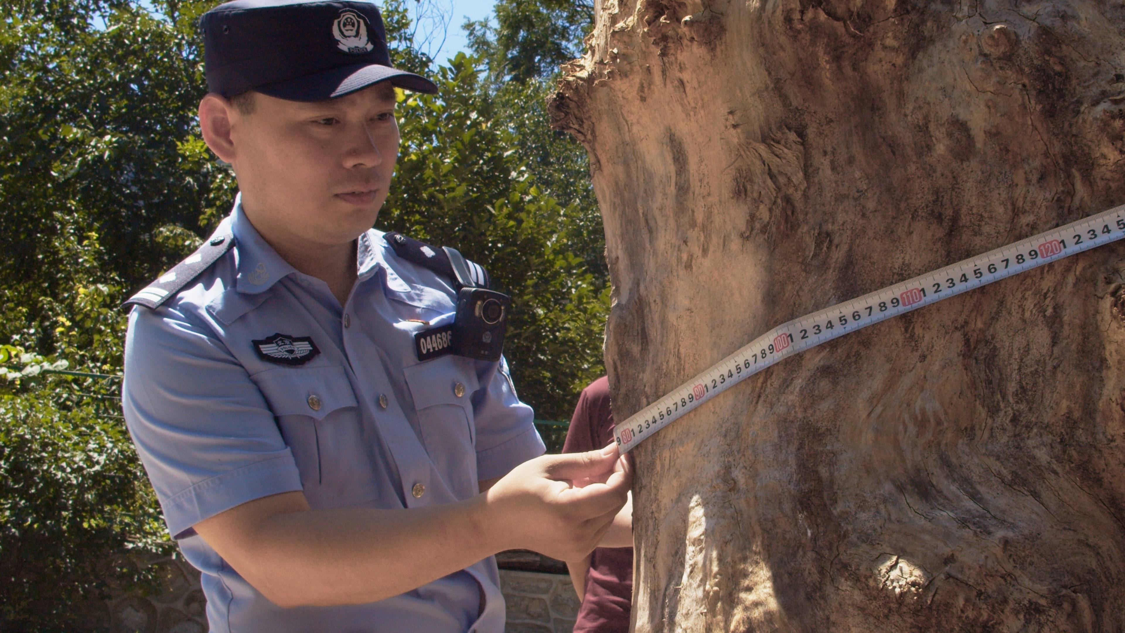 森林警察韩孟祺：乔装成驴友潜伏密林中<strong></p>
<p>原油cl</strong>，抓获“粘鸟”嫌疑人