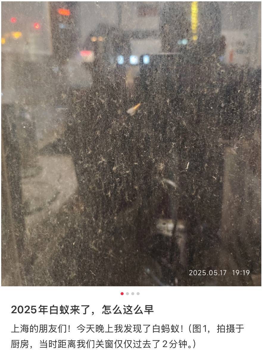 紧急提醒：瞬间爆发！上海市民崩溃：密密麻麻<strong></p>
<p>中石化中原油田</strong>，蠕蠕爬行...“梧桐区”已开始战斗，白蚁或提前分飞