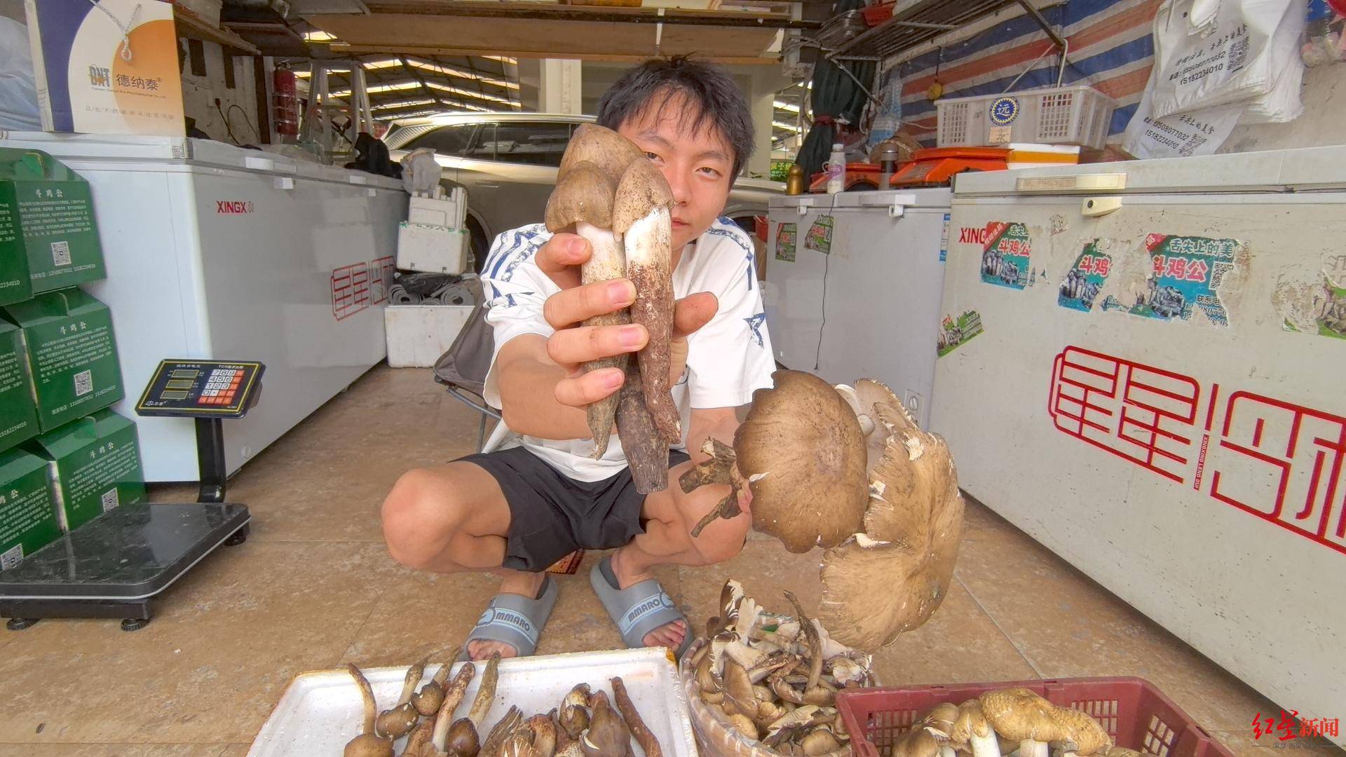 “天价”鸡枞调查：最贵卖到1800元/公斤！雨水少致产量低<strong></p>
<p>原油期货怎么样</strong>，多地价高客少