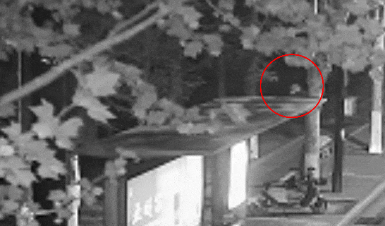 江苏一男子戴仿真“人皮”面具入室盗窃<strong></p>
<p>原油期货怎么样</strong>，流窜多个小区作案，涉案金额达15万余元