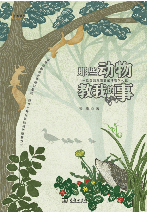 张瑜：我们所居住的北京<strong></p>
<p>国际原油下跌</strong>，是亲近自然的最佳场所