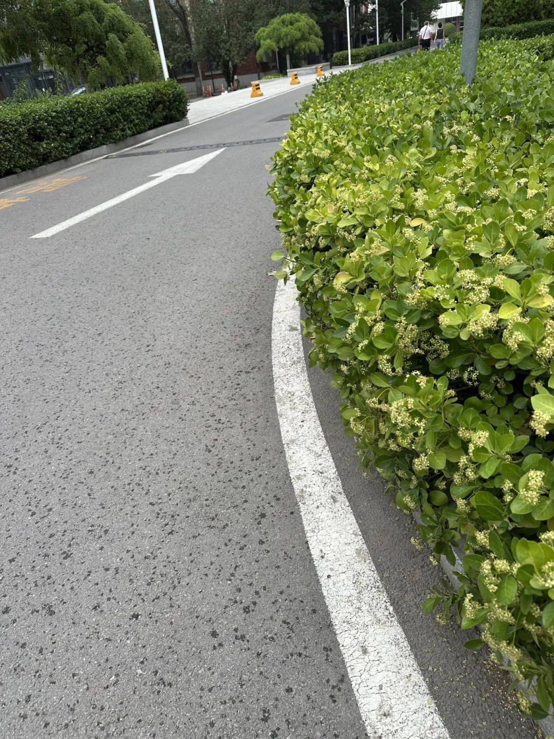 下雨了<strong></p>
<p>烃原油</strong>！天津接下来十天都是……