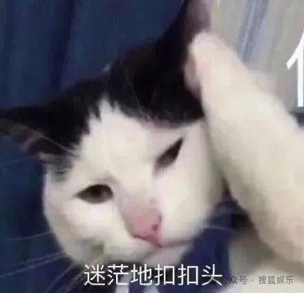 离婚三年又被拍到亲密逛超市<strong></p>
<p>抓原油</strong>，他俩这是纯带娃还是真复合了？