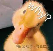 从爆红到突然消失好几年<strong></p>
<p>今天原油走势</strong>，再出现已经胖到大家不敢认了？