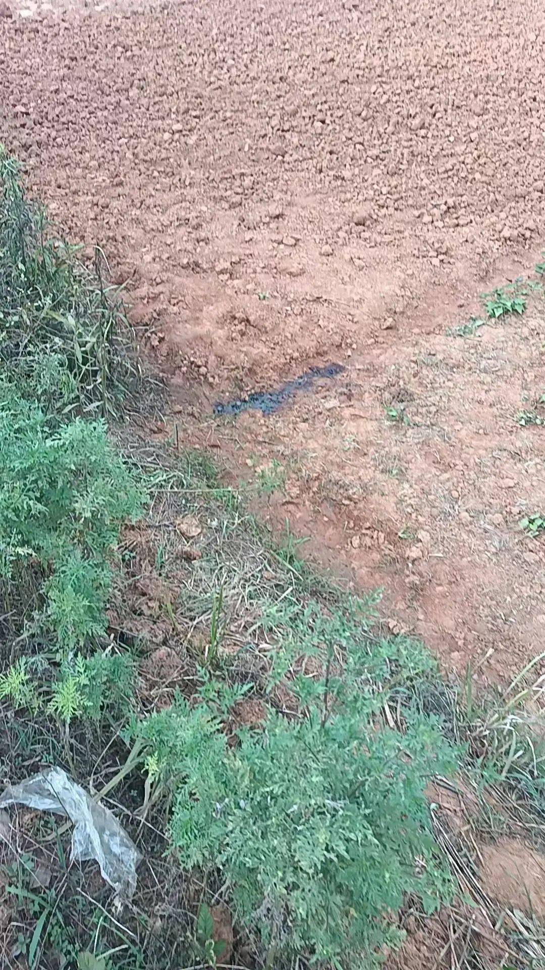 工人被误当猎物枪击身亡<strong></p>
<p>今天原油走势</strong>，警方通报：屈某某、罗某某被刑拘