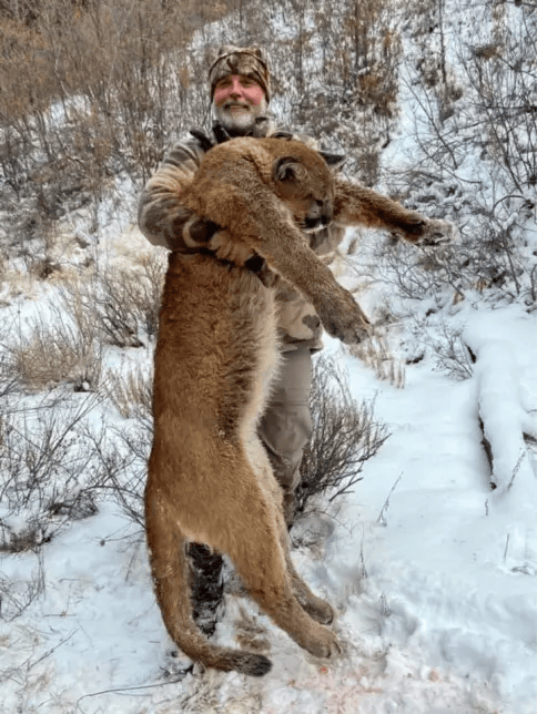 美国百万富翁在南非参加高端付费狩猎活动<strong></p>
<p>今天原油走势</strong>，被水牛顶死
