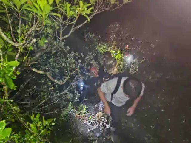 每人罚款5000元<strong></p>
<p>原油股票代码</strong>！深圳开出全国首张罚单