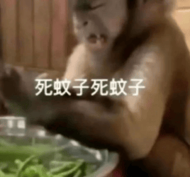 能不能让蚊子彻底灭绝啊<strong></p>
<p>原油期货行情实时行情</strong>？科学家：正在努力