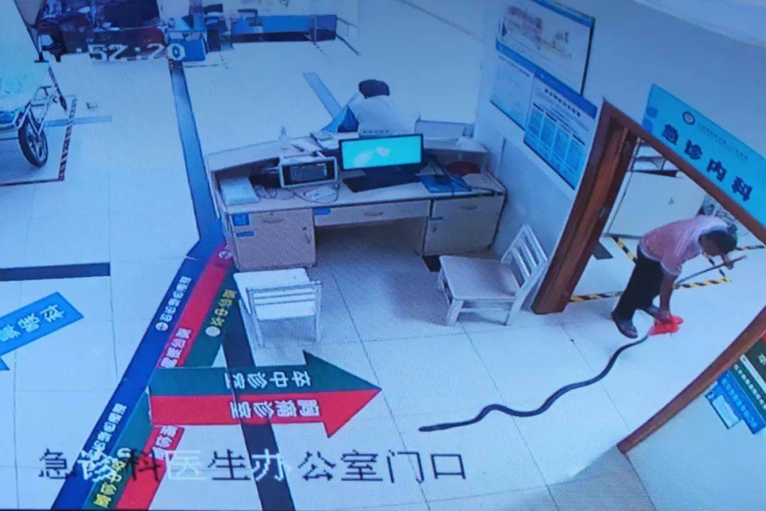 眼镜王蛇咬伤老人<strong></p>
<p>黄金国际价格</strong>，家属拖两米多长的“凶手”冲进医院！“拎蛇就医”可取吗？