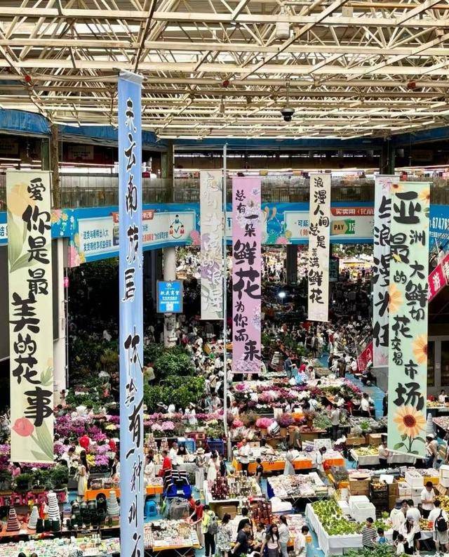 七夕不送玫瑰改送花菜<strong></p>
<p>黄金</strong>！这一届年轻人“反套路”重新定义浪漫