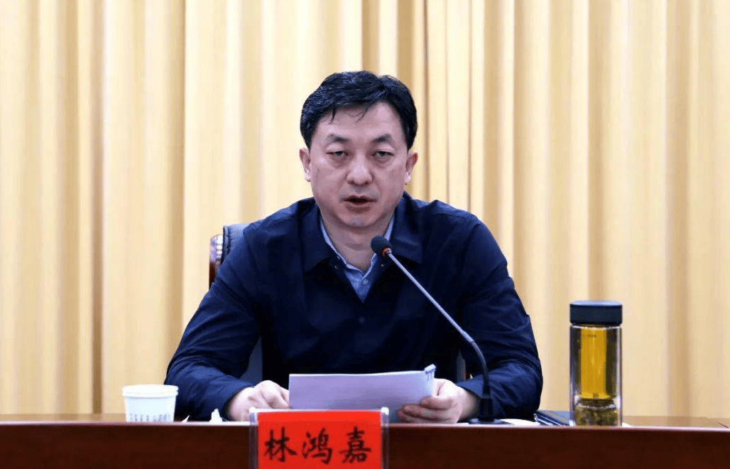 鹤壁市常务副市长林鸿嘉<strong></p>
<p>白银</strong>，被罢免市人大代表职务