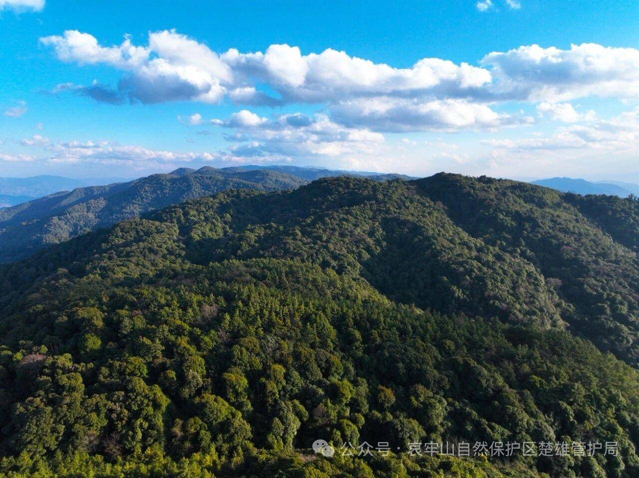 云南哀牢山新规出台：禁止任何单位和个人擅入哀牢山自然保护区<strong></p>
<p>icu</strong>，从事科研活动须报批