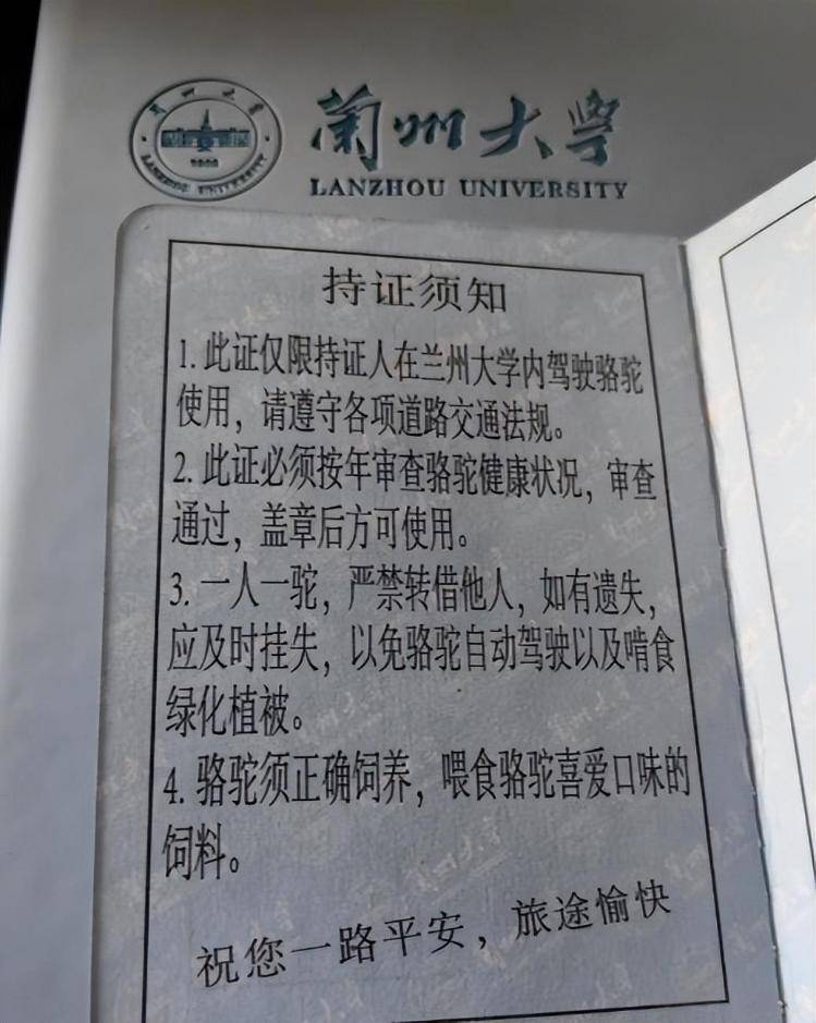 一人一驼<strong></p>
<p>icu</strong>，骆驼尾气排放超标要扣分？兰大回应学生持证骑骆驼上学：骆驼驾驶证为学校文创，非官方证件