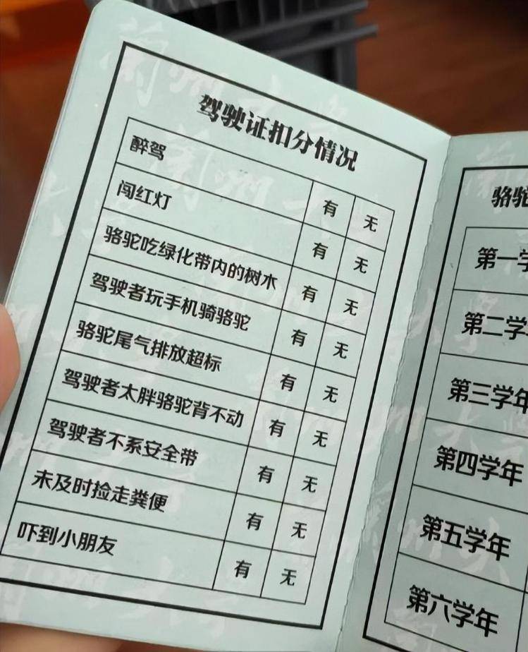 一人一驼<strong></p>
<p>icu</strong>，骆驼尾气排放超标要扣分？兰大回应学生持证骑骆驼上学：骆驼驾驶证为学校文创，非官方证件