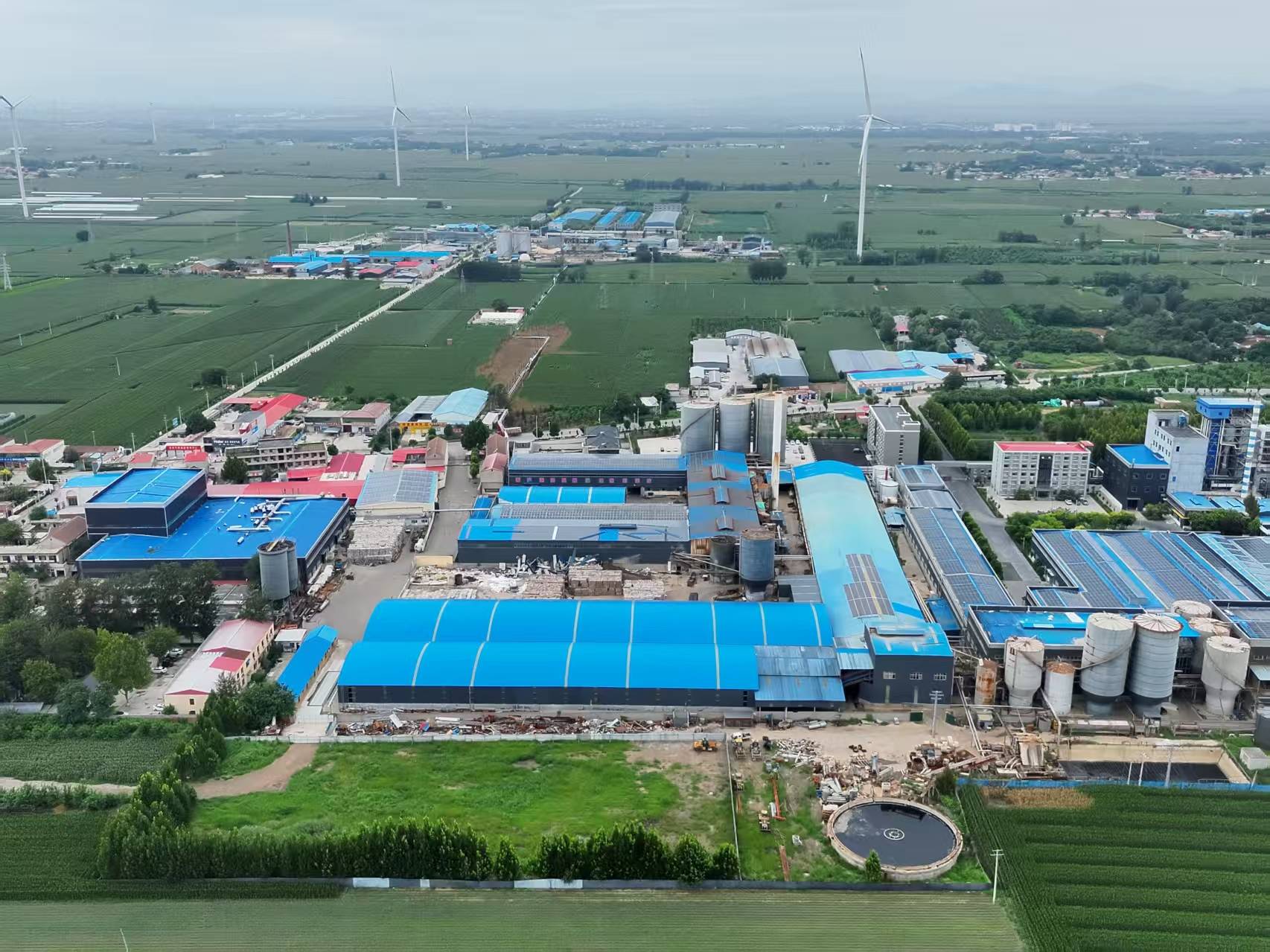 河北柏乡:造纸厂污水外排大片农作物致死引关注<strong></p>
<p>free价格</strong>！