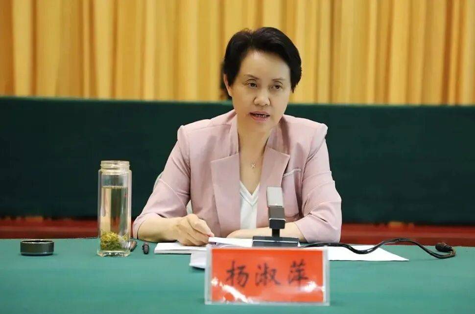 杨淑萍<strong></p>
<p>虚拟币产生方法</strong>，被查