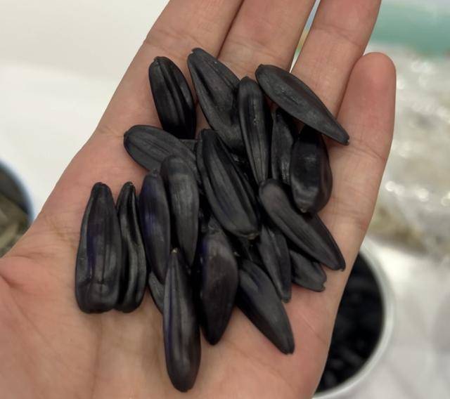 紫色向日葵、多彩胡萝卜、双色火龙果亮相青岛<strong></p>
<p>虚拟币挖矿整治措施</strong>，种子盛会变身“未来食物实验室”