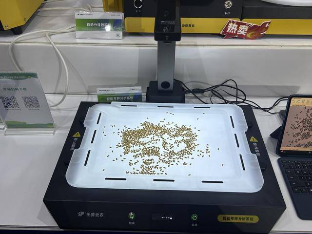 紫色向日葵、多彩胡萝卜、双色火龙果亮相青岛<strong></p>
<p>虚拟币挖矿整治措施</strong>，种子盛会变身“未来食物实验室”