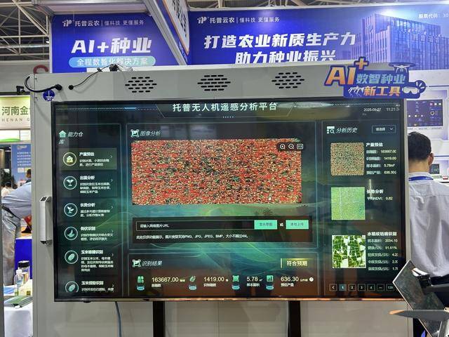 紫色向日葵、多彩胡萝卜、双色火龙果亮相青岛<strong></p>
<p>虚拟币挖矿整治措施</strong>，种子盛会变身“未来食物实验室”