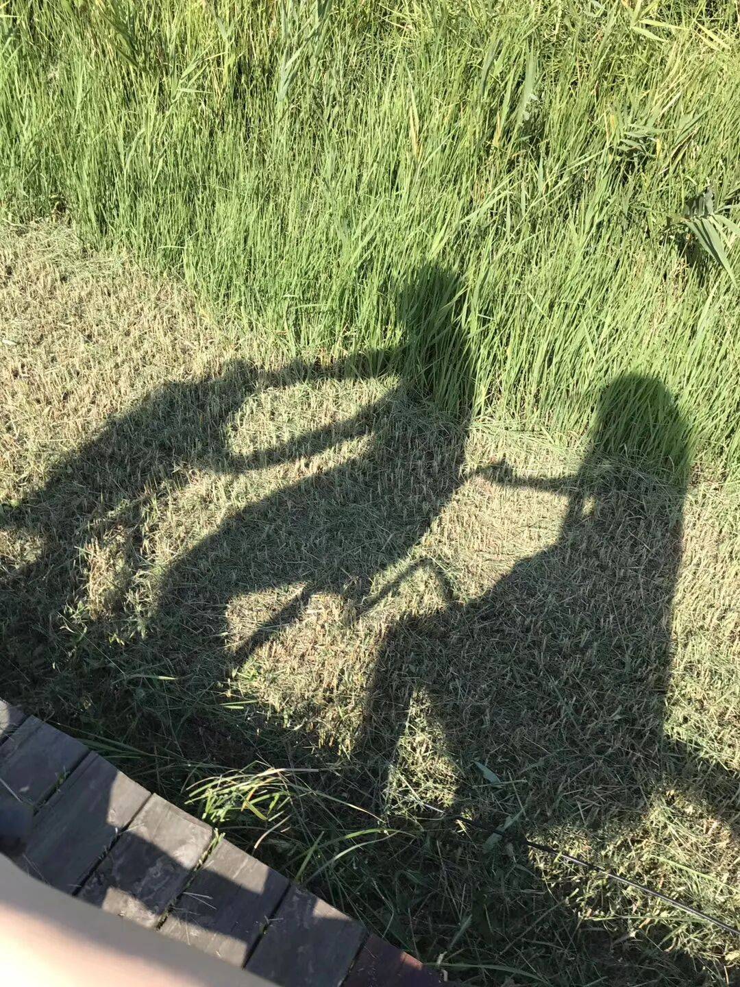 纸质火车票退场<strong></p>
<p>高材生虚拟币案例</strong>，每道折痕里都藏着远方、爱情与山河记忆