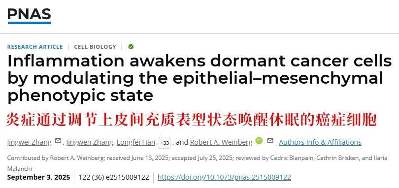 长期炎症会“唤醒”癌细胞<strong></p>
<p>私人挖虚拟币</strong>！这份抗炎指南每个人都该看看