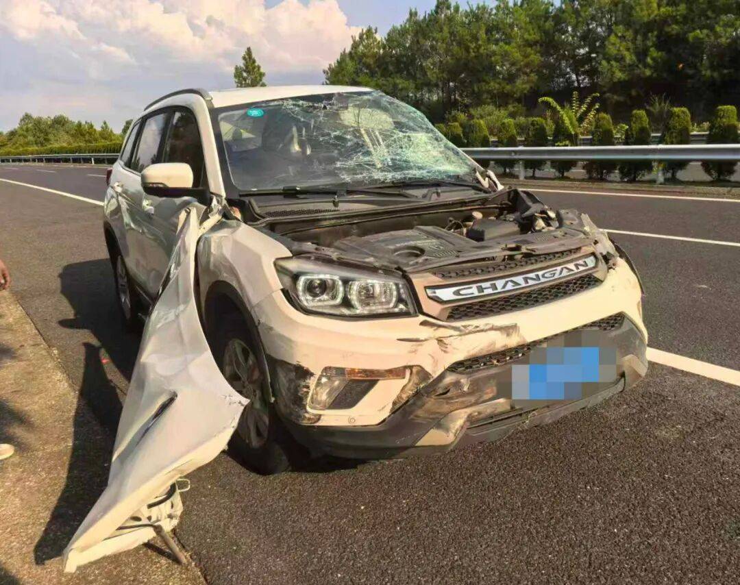 “我撒谎天打雷劈！”男子高速突然强行变道致翻车<strong></p>
<p>虚拟币挖矿</strong>，反诬赖对方