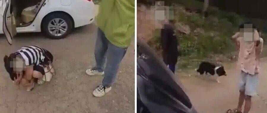 深圳一市民突遭马蜂围袭！已进入高发期<strong></p>
<p>整治工作自查报告</strong>，千万别招惹！