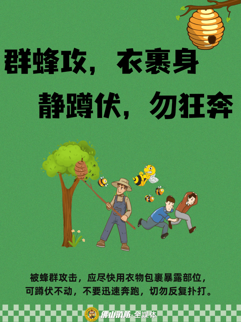 深圳一市民突遭马蜂围袭！已进入高发期<strong></p>
<p>整治工作自查报告</strong>，千万别招惹！