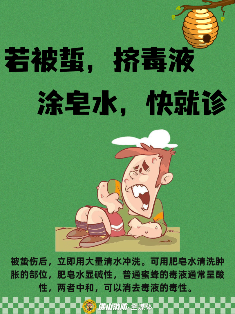 深圳一市民突遭马蜂围袭！已进入高发期<strong></p>
<p>整治工作自查报告</strong>，千万别招惹！