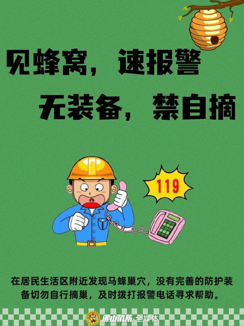 深圳一市民突遭马蜂围袭！已进入高发期<strong></p>
<p>整治工作自查报告</strong>，千万别招惹！