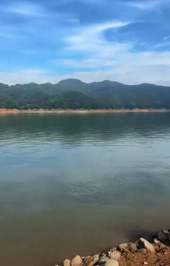23岁外卖小哥蹊跷失踪已22天！凌晨现身一水库<strong></p>
<p>整治工作自查报告</strong>，附近找到电动车和鞋