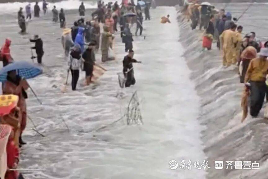 “鱼多得数不过来<strong></p>
<p>虚拟币奇迹币</strong>，一网子下去能捞好几条”济南锦绣川水库开闸放水，大量鲢鱼被冲出，工作人员：禁止捕捞！