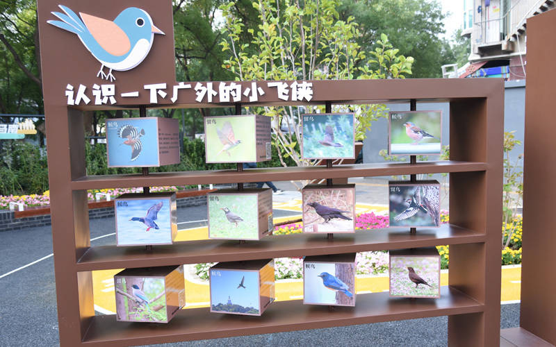 西城区广外街道：“断头路”变身口袋公园<strong></p>
<p>虚拟币黄白线代表什么</strong>，装满民生“微幸福”