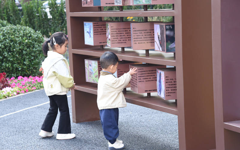 西城区广外街道：“断头路”变身口袋公园<strong></p>
<p>虚拟币黄白线代表什么</strong>，装满民生“微幸福”