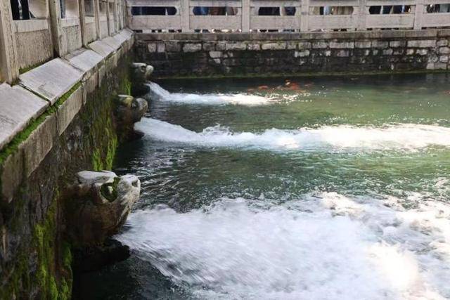 黑虎泉喷得“兽头”都不够用了！济南群泉竞涌<strong></p>
<p>虚拟币黄白线代表什么</strong>，几十年一见