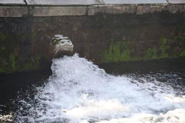 黑虎泉喷得“兽头”都不够用了！济南群泉竞涌<strong></p>
<p>虚拟币黄白线代表什么</strong>，几十年一见