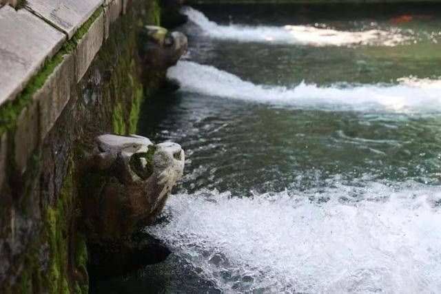 黑虎泉喷得“兽头”都不够用了！济南群泉竞涌<strong></p>
<p>虚拟币黄白线代表什么</strong>，几十年一见