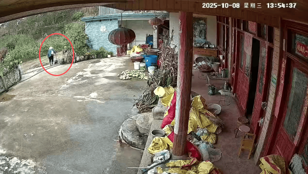 93岁老人进山失联<strong></p>
<p>虚拟币黄白线代表什么</strong>，两天后发现他倒挂在树杈上苦撑……