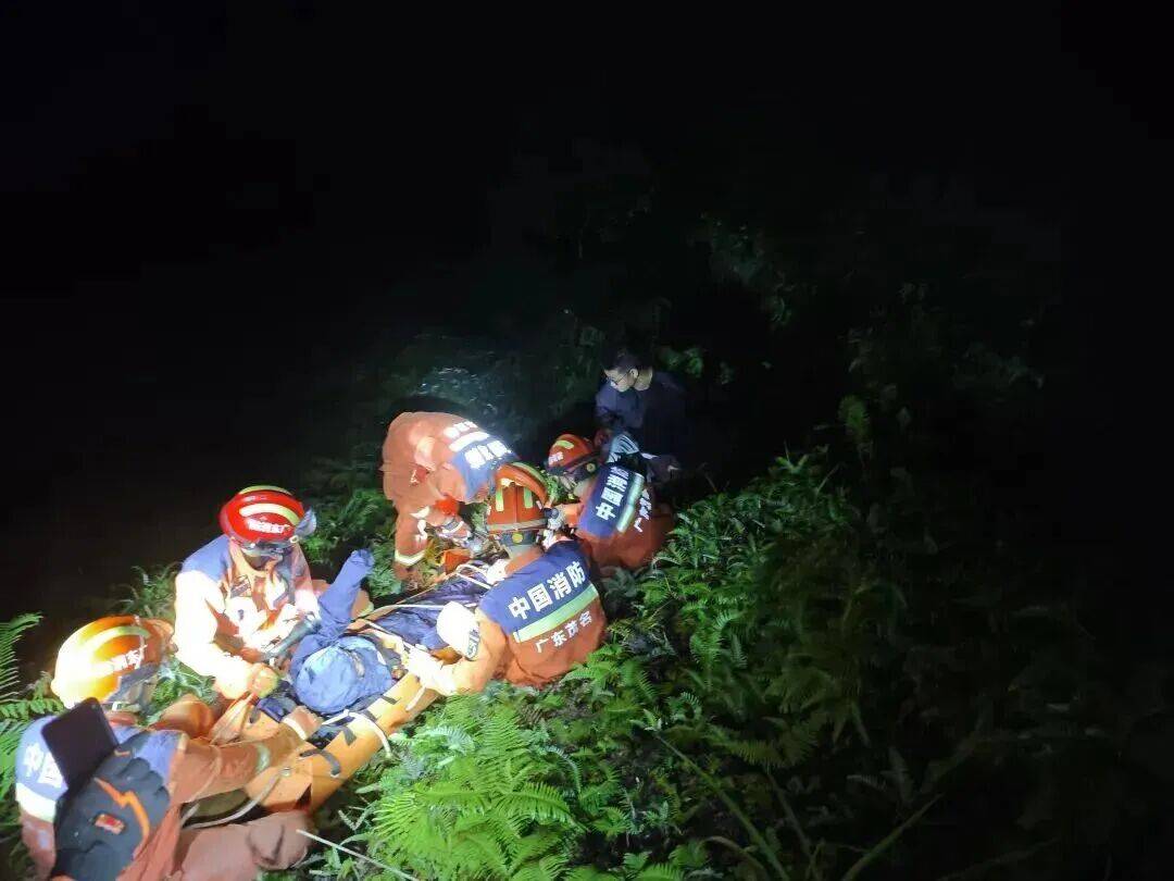 93岁老人进山失联<strong></p>
<p>虚拟币黄白线代表什么</strong>，两天后发现他倒挂在树杈上苦撑……