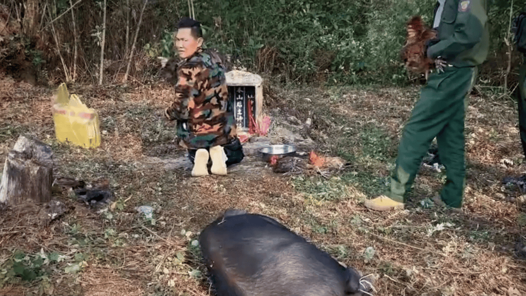 公安机关侦破缅北果敢徐老发犯罪集团专案<strong></p>
<p>快手直播送礼物</strong>，详情披露！