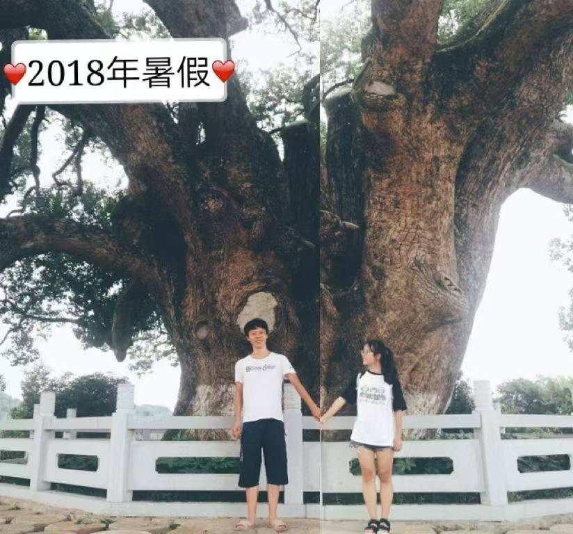 岳阳情侣连续9年在家乡千年古樟树下合影<strong></p>
<p>快手直播送礼物</strong>，今年国庆终修正果：希望爱情像古树一样长久