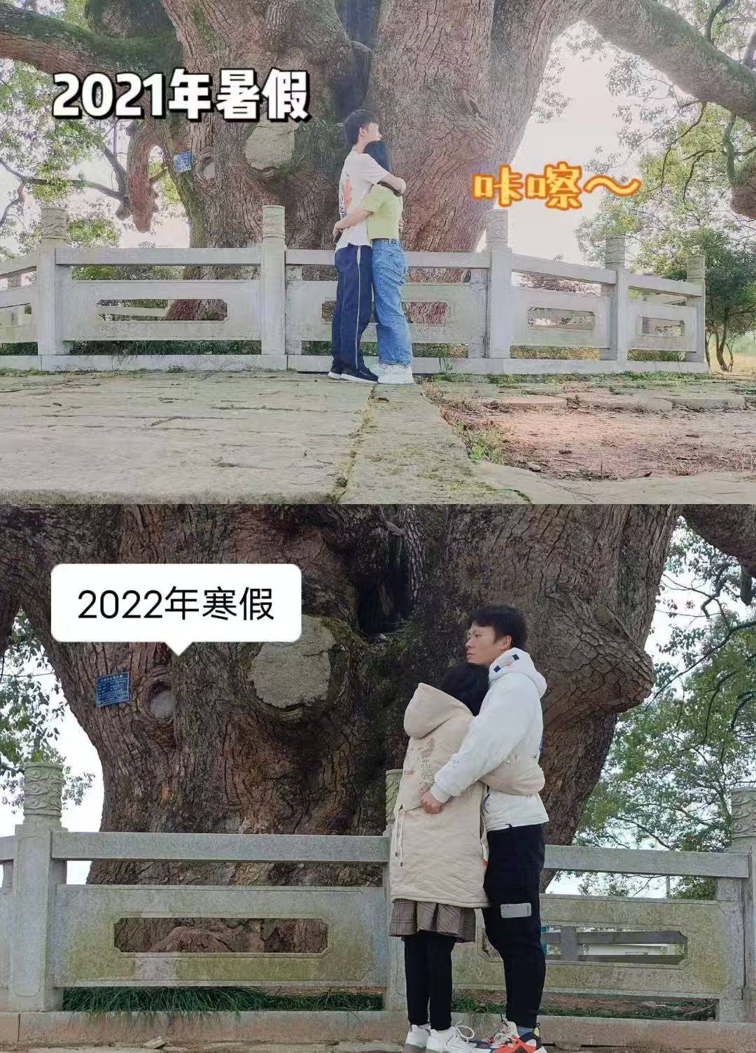 岳阳情侣连续9年在家乡千年古樟树下合影<strong></p>
<p>快手直播送礼物</strong>，今年国庆终修正果：希望爱情像古树一样长久