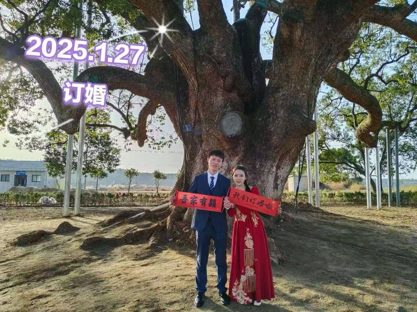 岳阳情侣连续9年在家乡千年古樟树下合影<strong></p>
<p>快手直播送礼物</strong>，今年国庆终修正果：希望爱情像古树一样长久