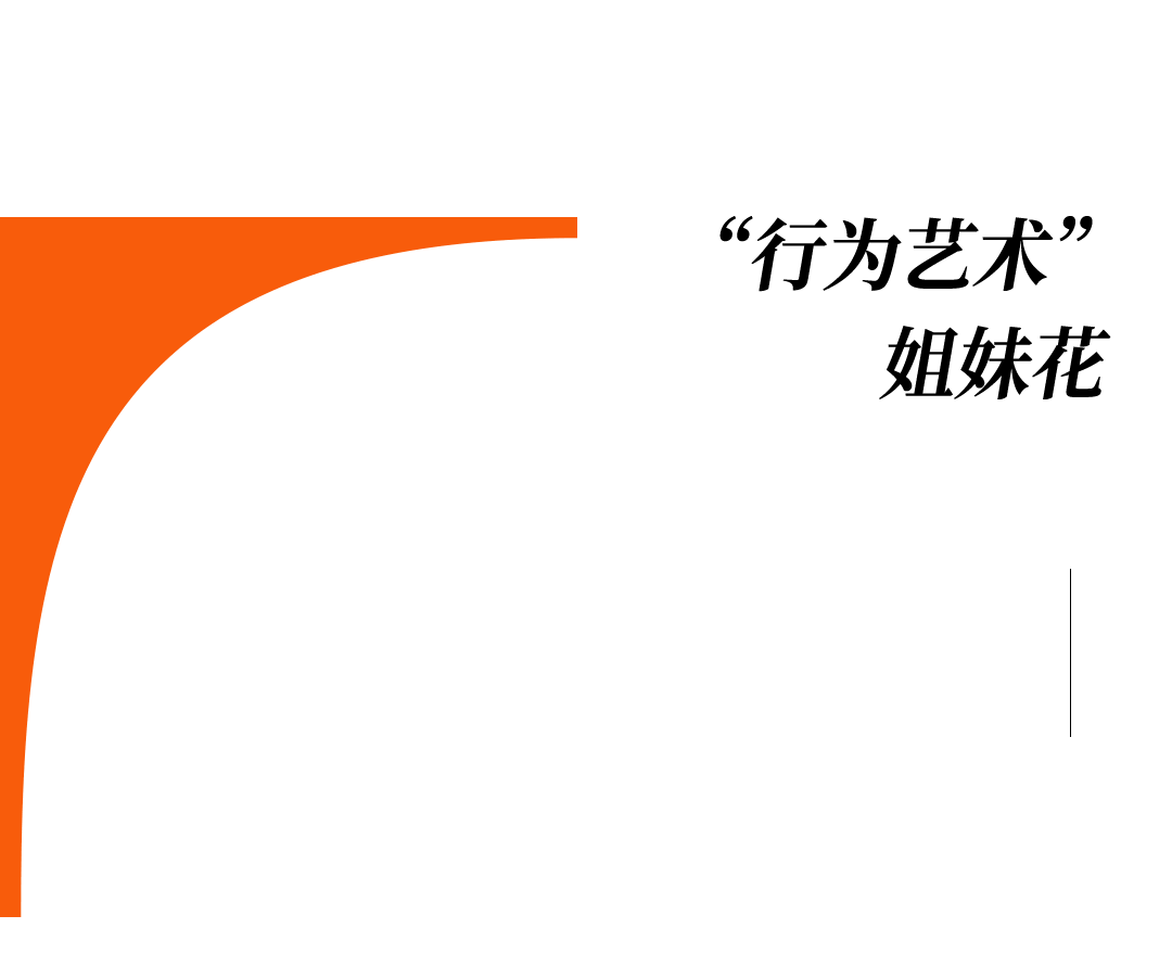 爱马仕当“头饰”<strong></p>
<p>快手直播送礼物</strong>，香奈儿挂满身，这对“神秘姐妹”是谁？